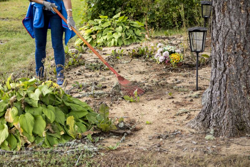 Building Site Clearing